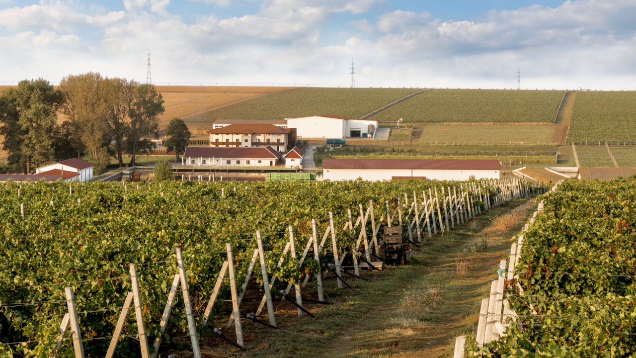 Crama Hermeziu – destinație de vacanță cu istoric din dinastia Negruzzi