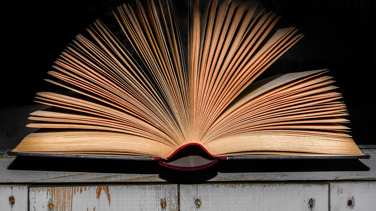 Biblioteca Bookster - 1,4 milioane de împrumuturi în 5 ani