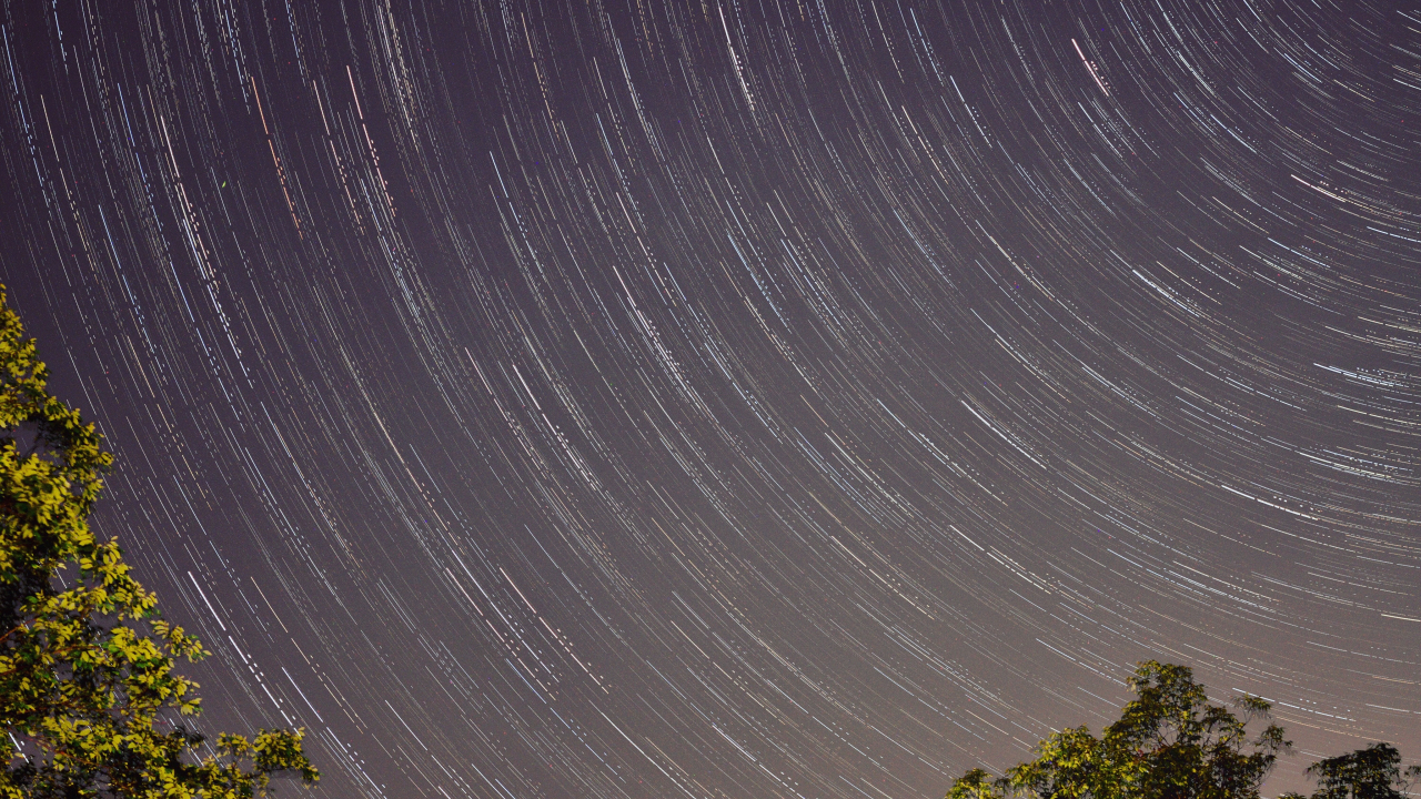 Cea mai bună viață de noapte...