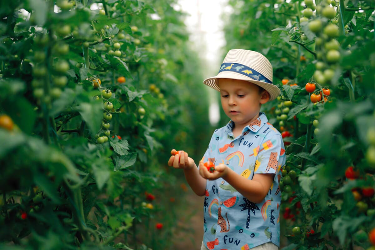 Cum funcționează un restaurant farm to table: de ce să vizitați Trattoria Domeniile Săftica?