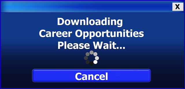 Românii de la Novorésumé, 500.000 de utilizatori care fac CV-uri cu ei