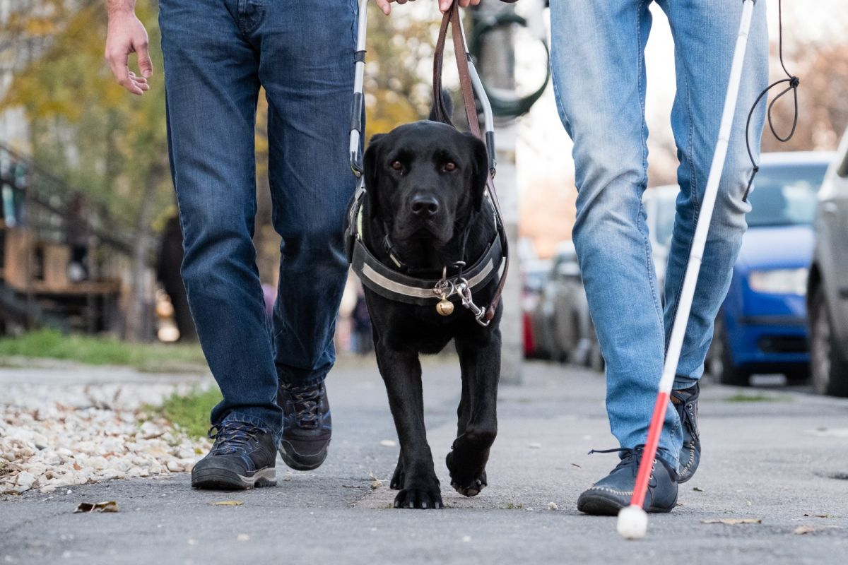 Un ONG aduce în România bastoane smart pentru persoane cu deficiențe de vedere