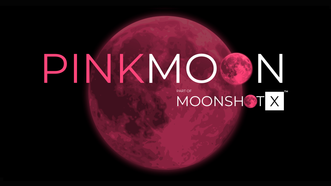 PinkMoon: Raiffeisen și InnovX invită antreprenoarele să-și extindă companiile la nivel internațional