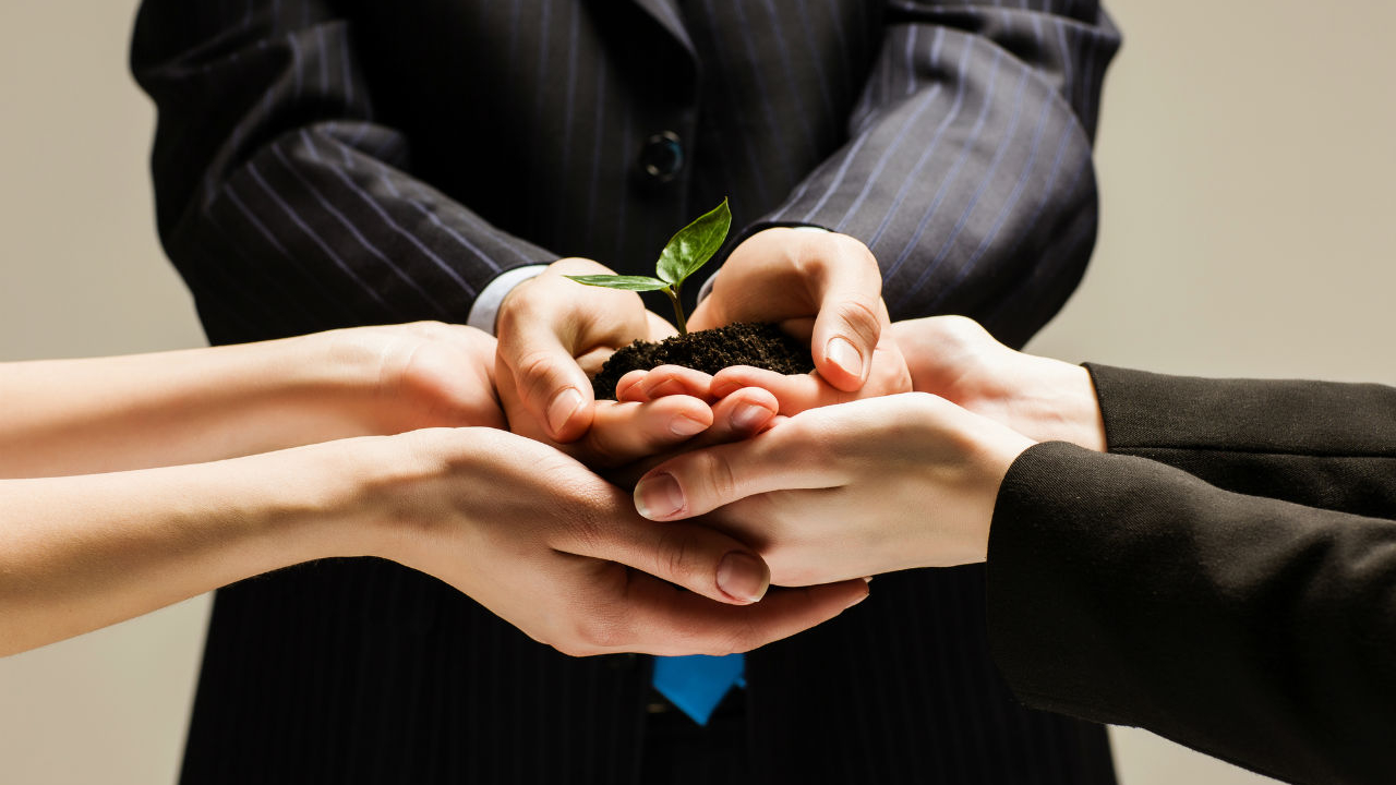 Antreprenori, mentori și investitori - cum cresc împreună un startup