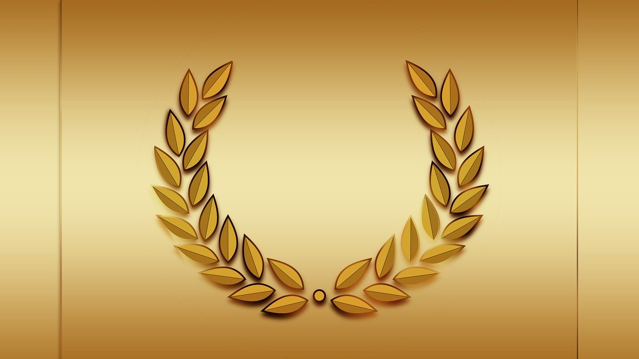 Încep înscrierile pentru premiile Galei ANIS 2020 - ce trebuie să faci