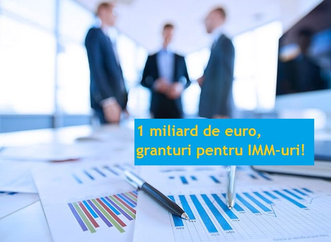 Granturi pentru IMM-uri de 1 mld. euro: document publicat în Monitorul Oficial