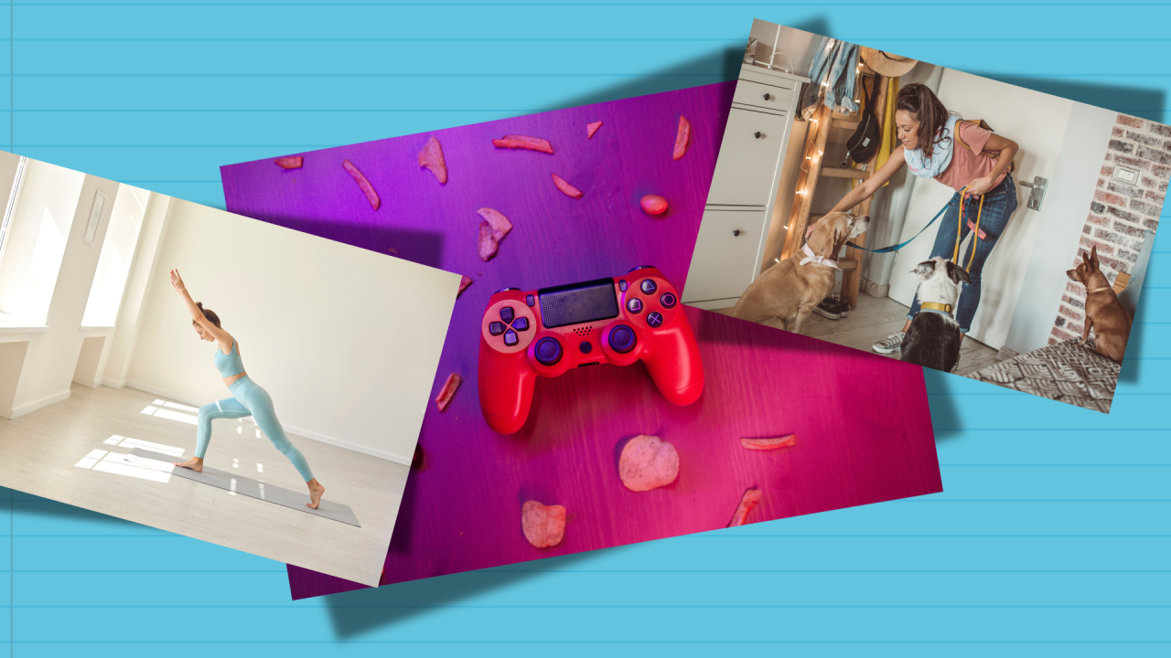 România recunoaște oficial <span class="title-highlight">noi profesii</span>: de la îngrijitor de câini la instructor pilates