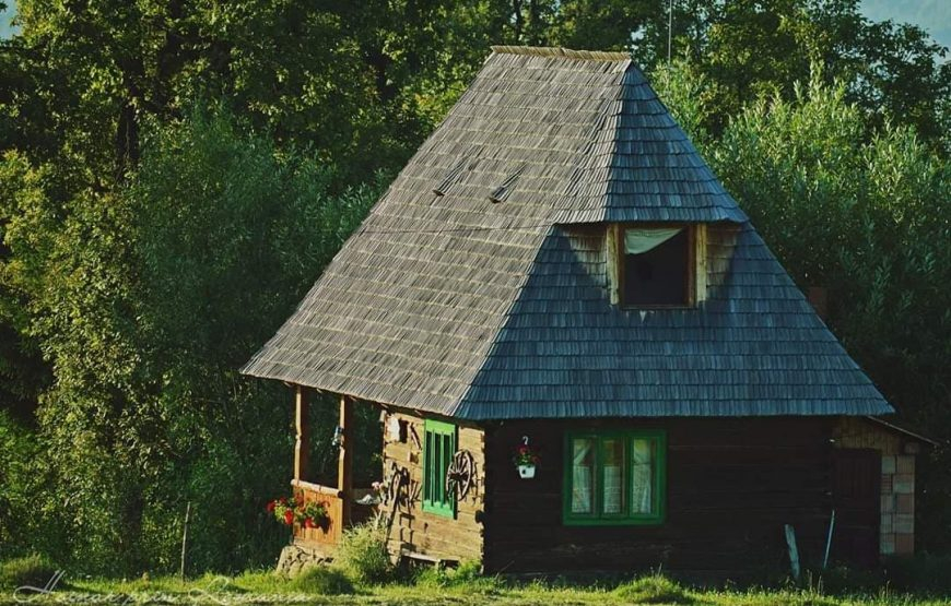 Mergem mai departe | Travlocals, cum supraviețuiește un startup de turism