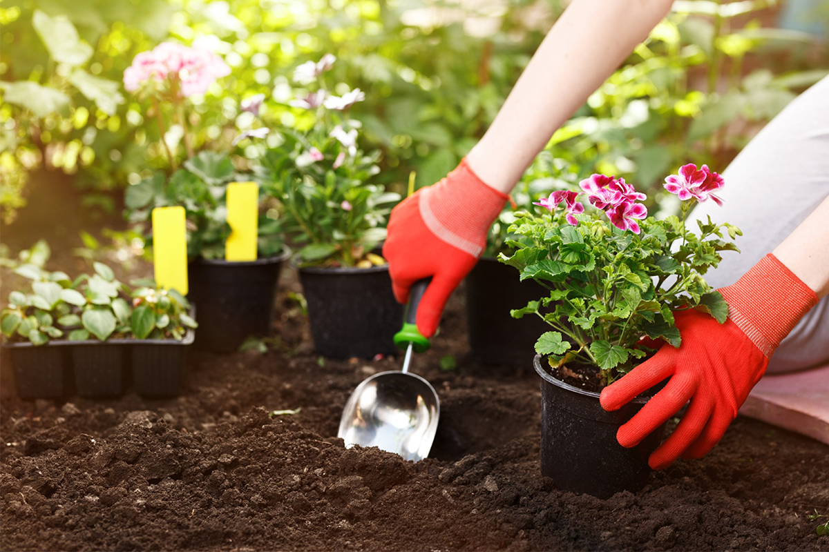 Armonie și ordine acasă: Soluții de depozitare inteligente pentru un spațiu impecabil