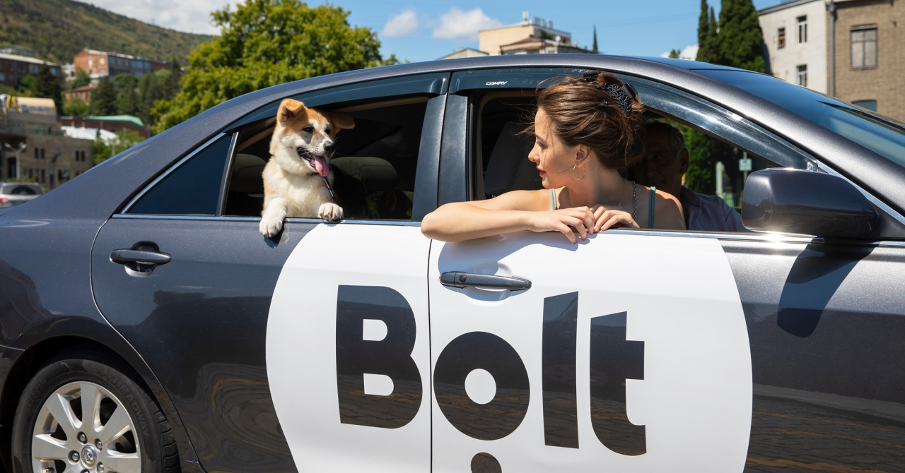 Bolt lansează Pet, pentru clienții care călătoresc cu animalele de companie