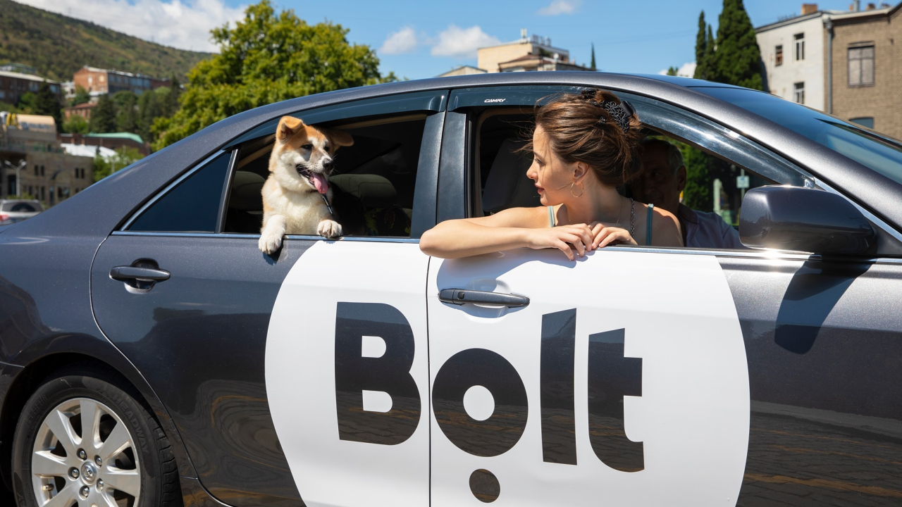 Bolt lansează Pet, pentru clienții care călătoresc cu animalele de companie