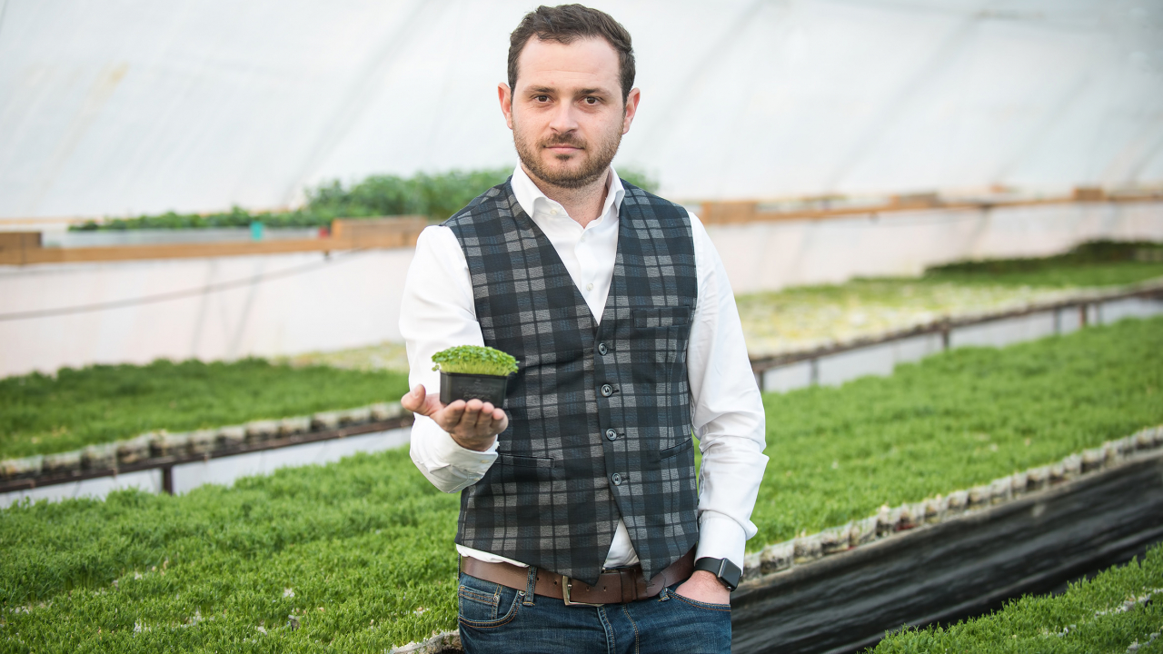 Microgreens România, 500.000€ de la Norofert. Urmează listarea pe bursă