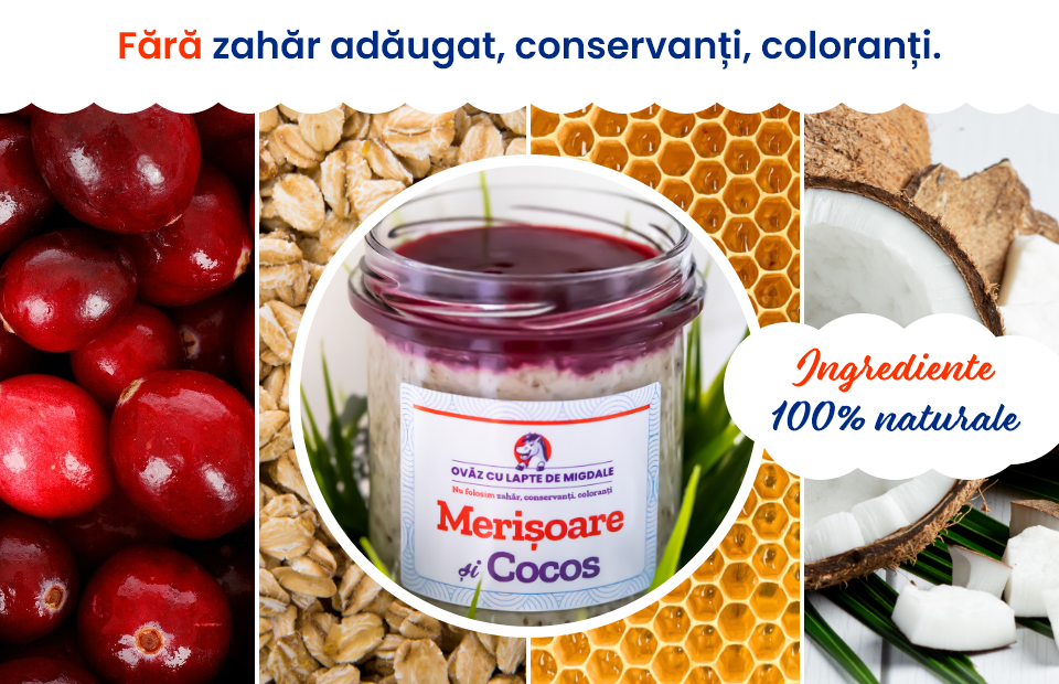 Fondator Ohvăz: Echipa face diferența în orice afacere!