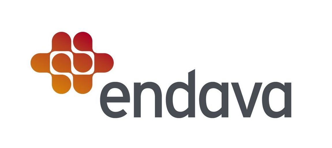 Endava urcă în topul producătorilor de software din România