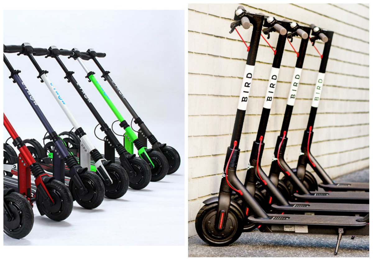 Cum produci un unicorn? De ce Bird poate și e-TWOW (încă) nu?