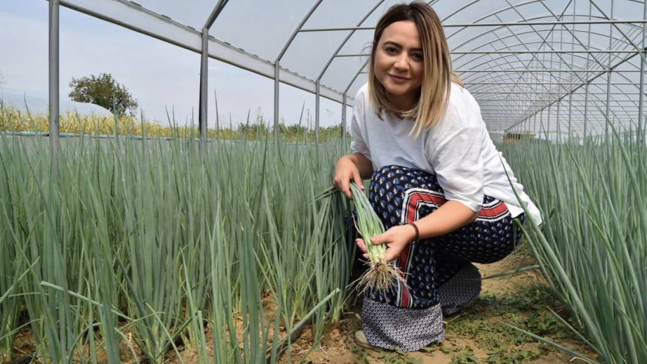 Fresh Veg: 1,5 milioane de legături de verdeață vândute. Așteptări pentru Paști