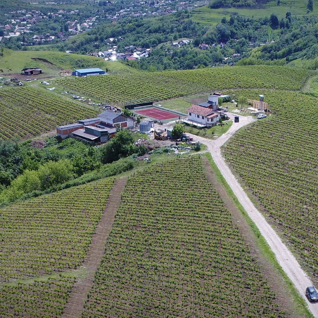 Marcea Ștefănești - #vinlarock, Truda Fanny și prima scenă în vie din România