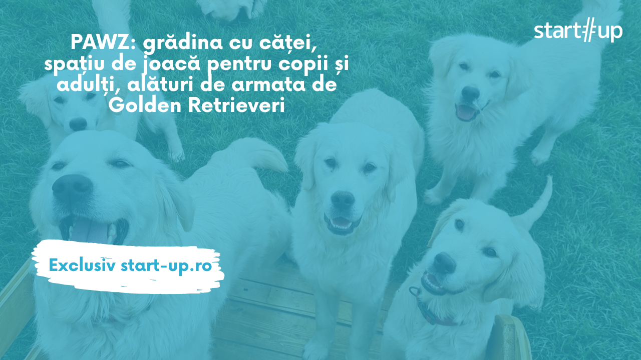 PAWZ: grădina cu căței, spațiu de joacă alături de armata de Golden Retrieveri