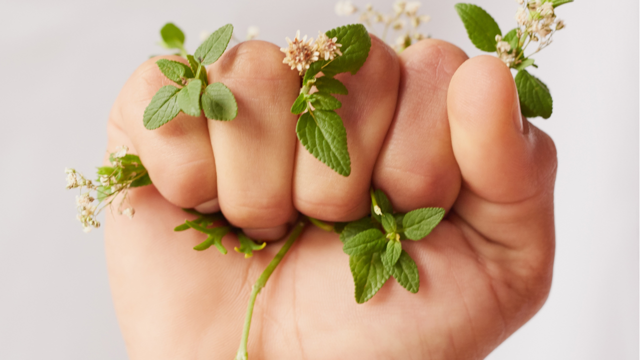 L’Oréal for the future: 150 milioane euro pentru femei vulnerabile și mediu