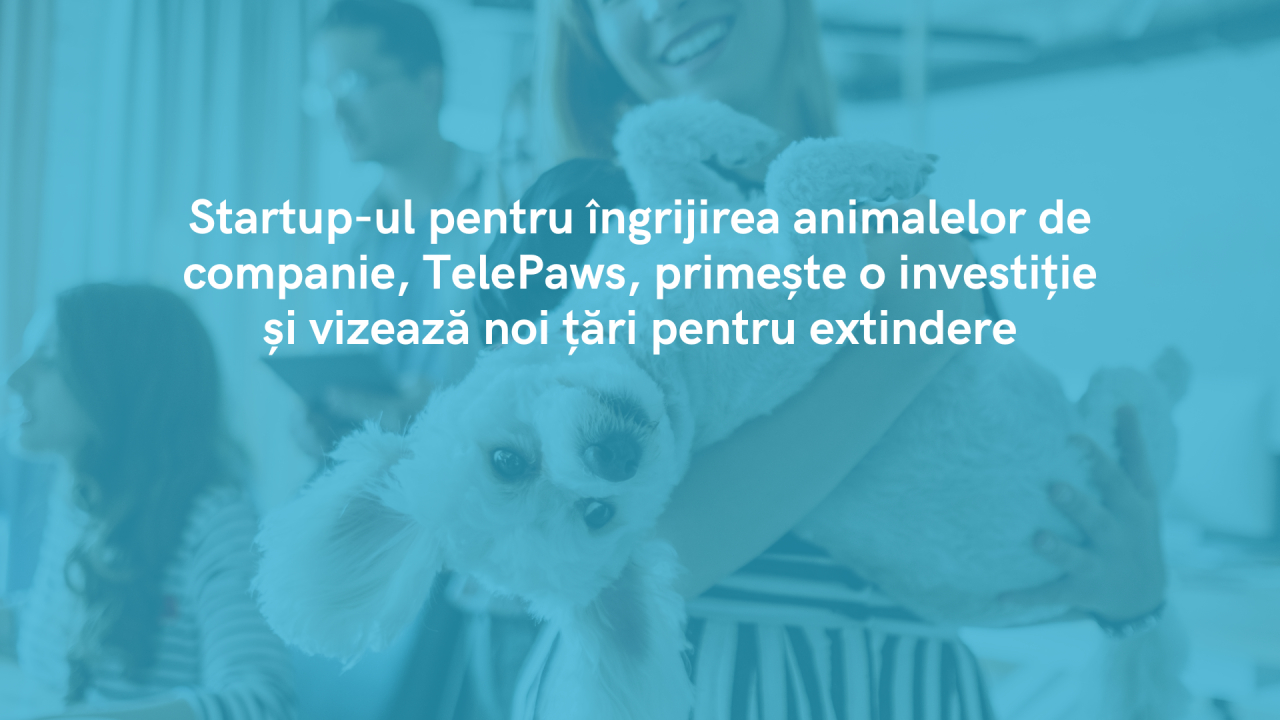 Startup-ul de <span class="title-highlight">medicină veterinară</span> TelePaws primește o investiție și vizează extinderea