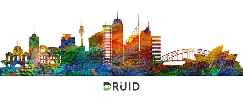 Chatboții românilor de la DRUID ajung până în Australia și Noua Zeelandă