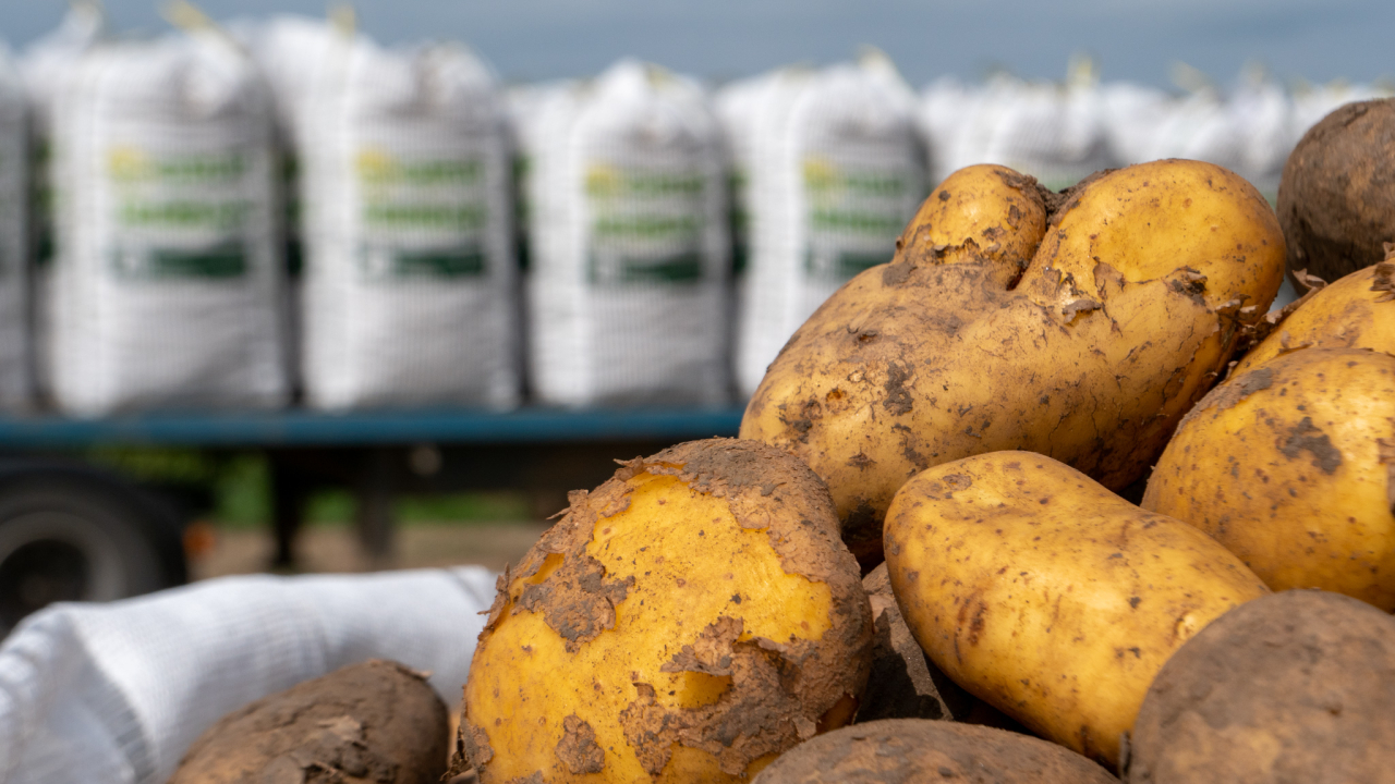 Chipsuri Chio din cartofi românești: Grup Șerban Holding, parteneriat cu Intersnack România