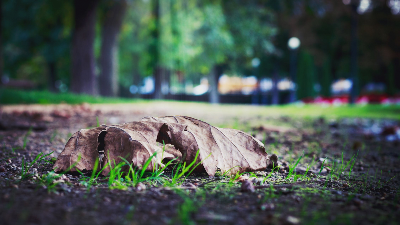 Ce cred antreprenorii germani despre situația economică din România