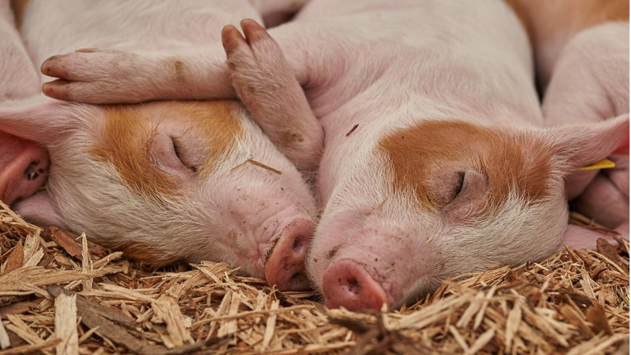 Ce sunt instrumentele financiare exotice