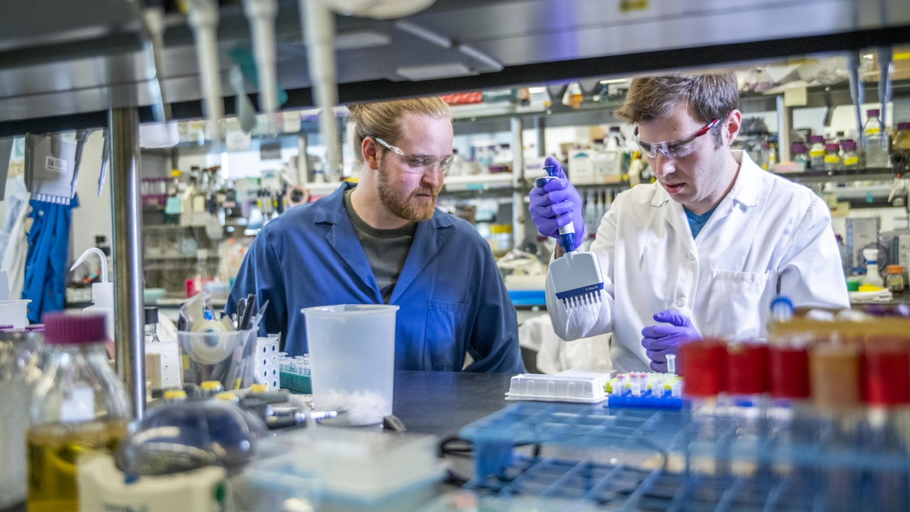 Coronavirus | Aplicația SAS care ”citește” pentru cercetători mii de lucrări