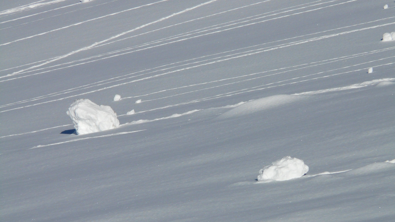 Startup-urile care au prezentat pe scena Startup Avalanche de la Techsylvania
