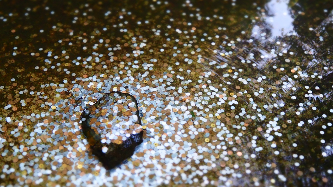 Finlandezii vor să te finanțeze dacă ai un startup tech