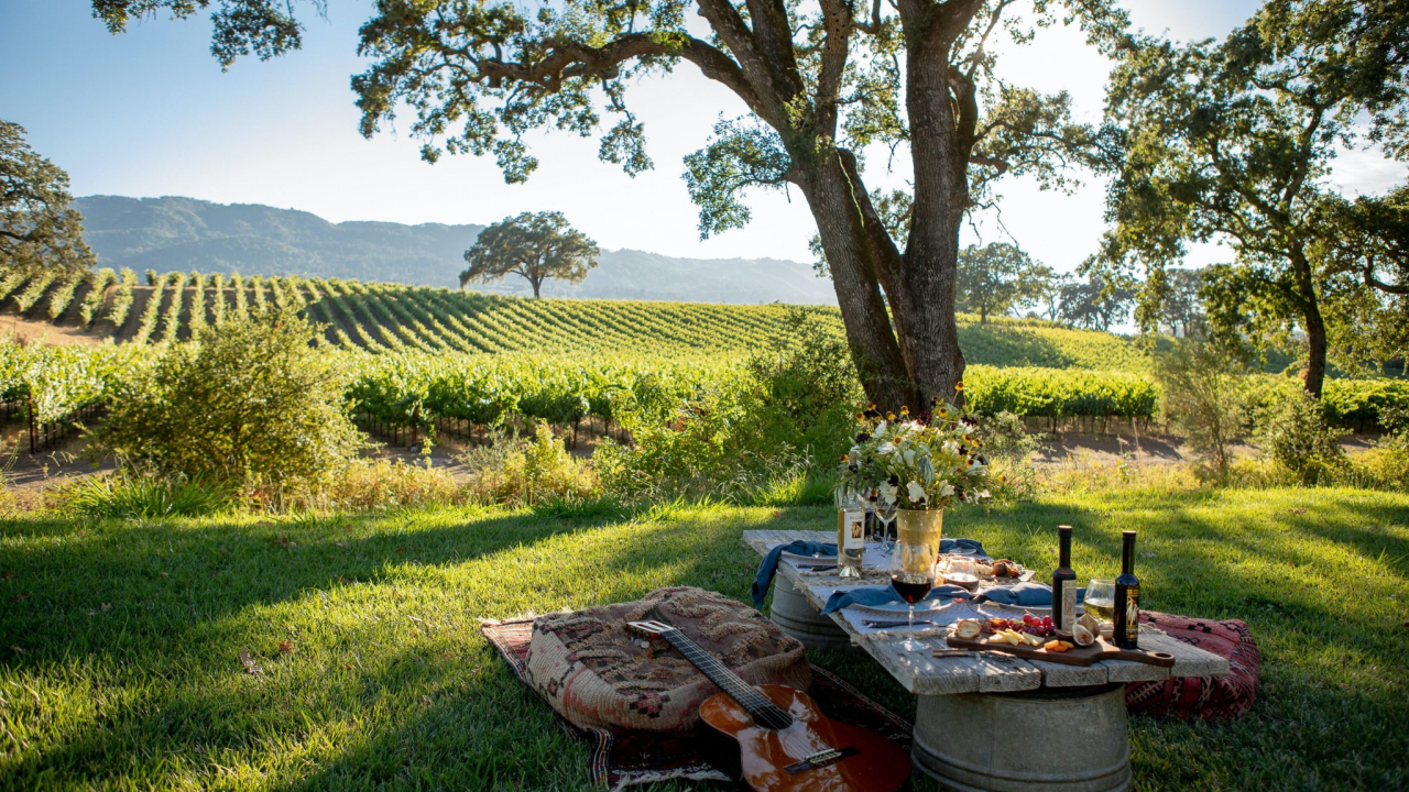 Vinurile săptămânii: călătoria continuă, regiuni viticole celebre din California