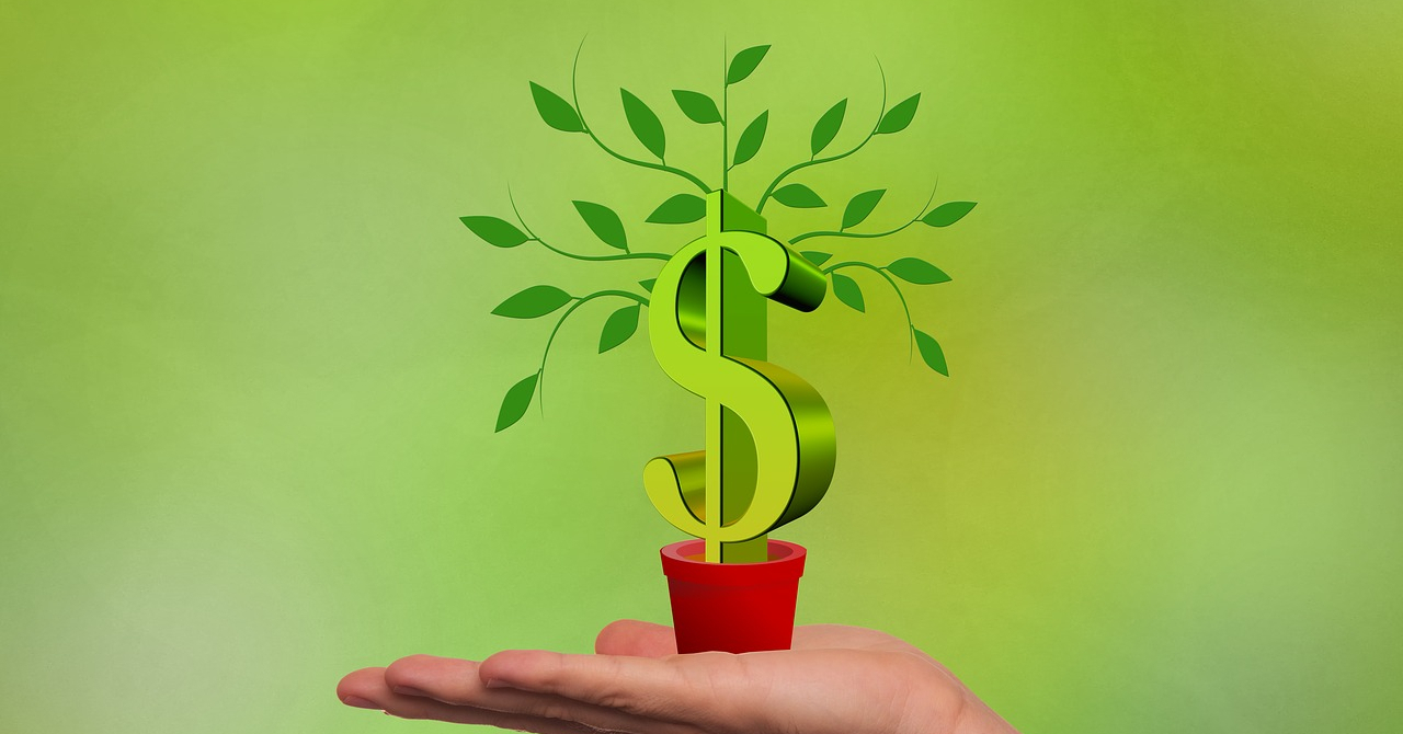 Copacul cu bani de la VC-uri pentru startup-uri, verde și în T2 2018