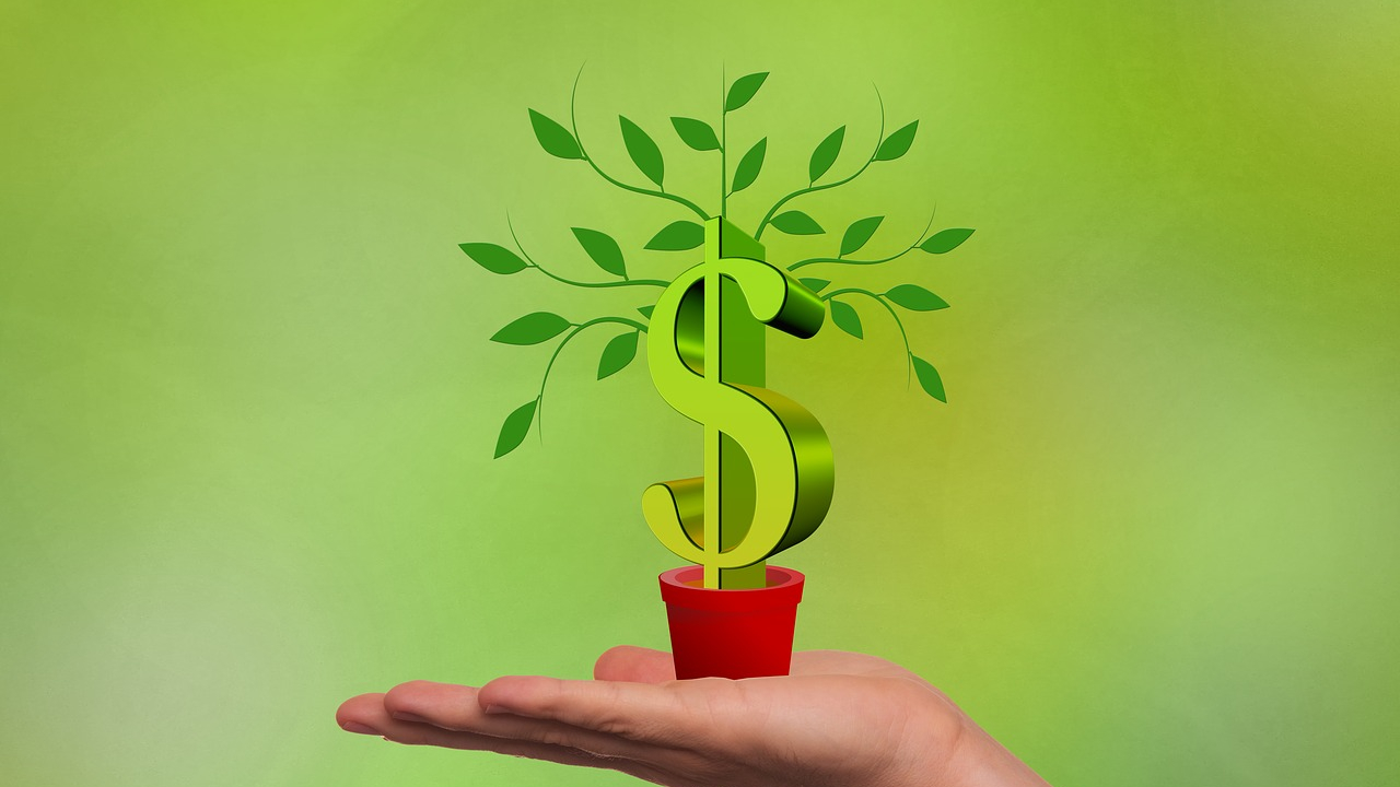 Copacul cu bani de la VC-uri pentru startup-uri, verde și în T2 2018