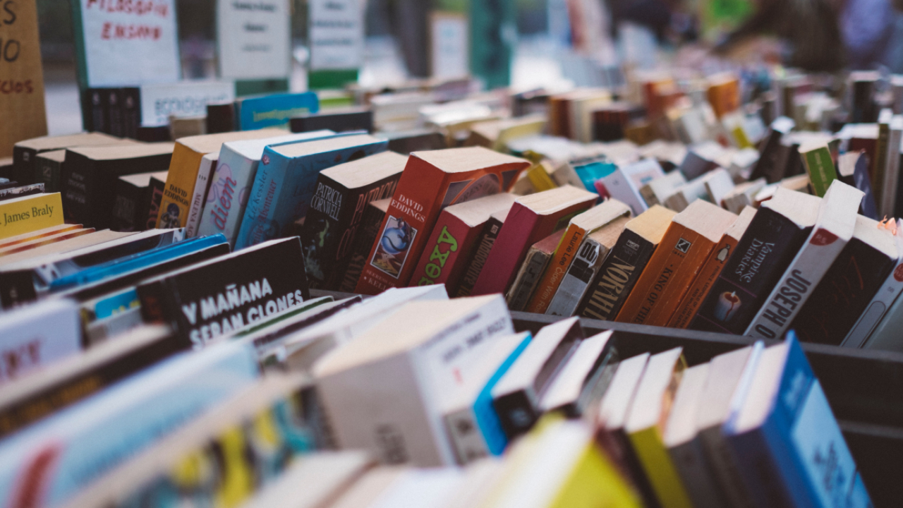 elefant.ro, după 9 ani: A livrat cărți cât drumul spre Lună și înapoi