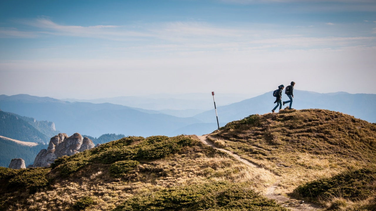 Cum pot lucra împreună o corporație și un startup