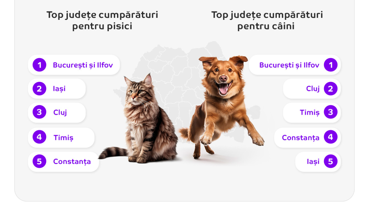 Trenduri: românii cheltuiesc lunar online 130 de lei pentru animale de companie