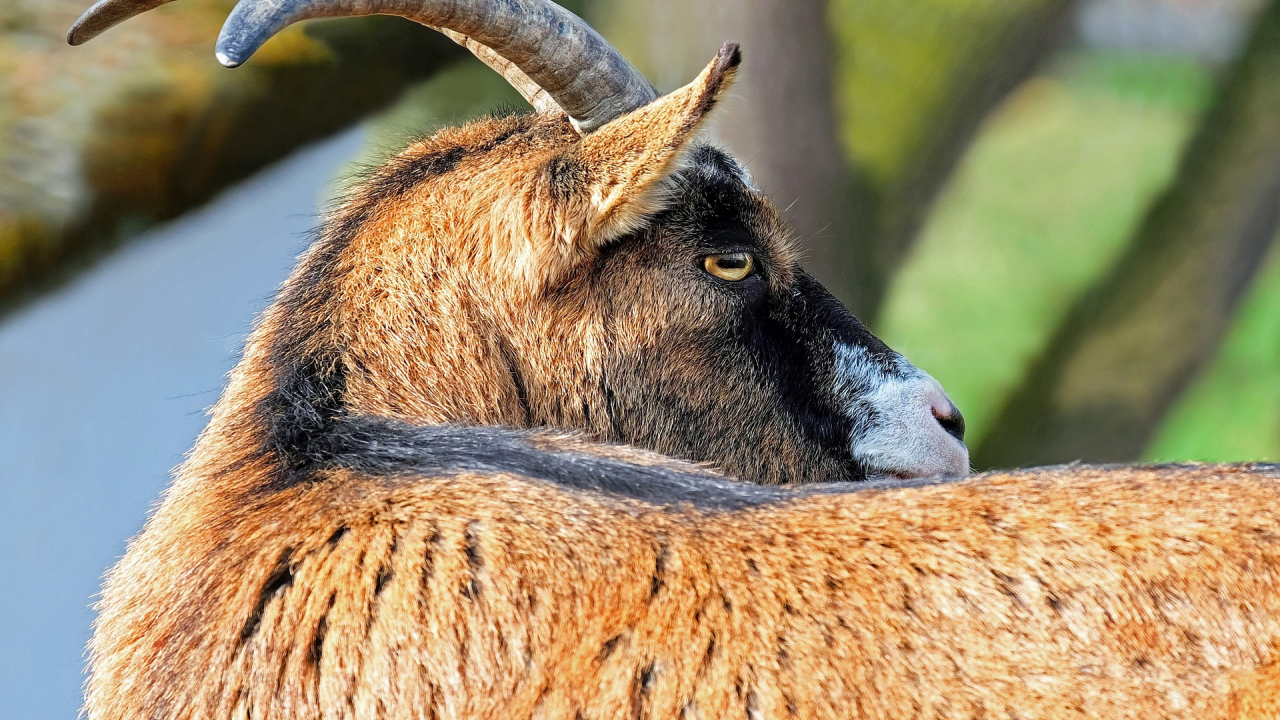 Start-Up Nation, partea amuzantă: cele mai ciudate denumiri de firme