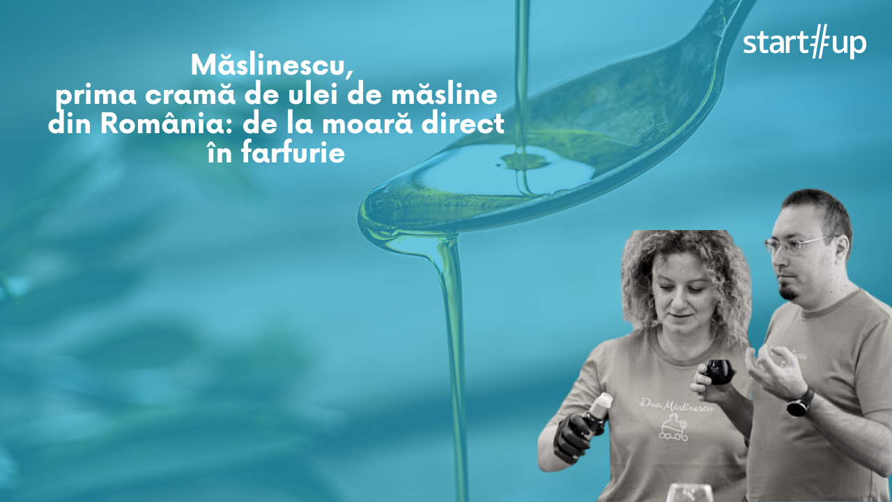 Măslinescu, prima cramă de ulei de măsline din România