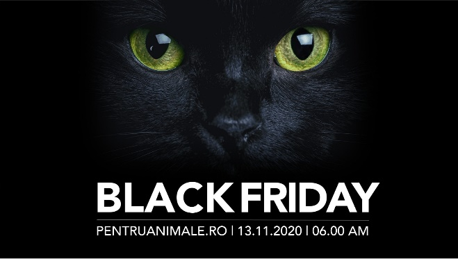 Black Friday 2020 și pentru petshop-uri. Așteptările PentruAnimale.ro