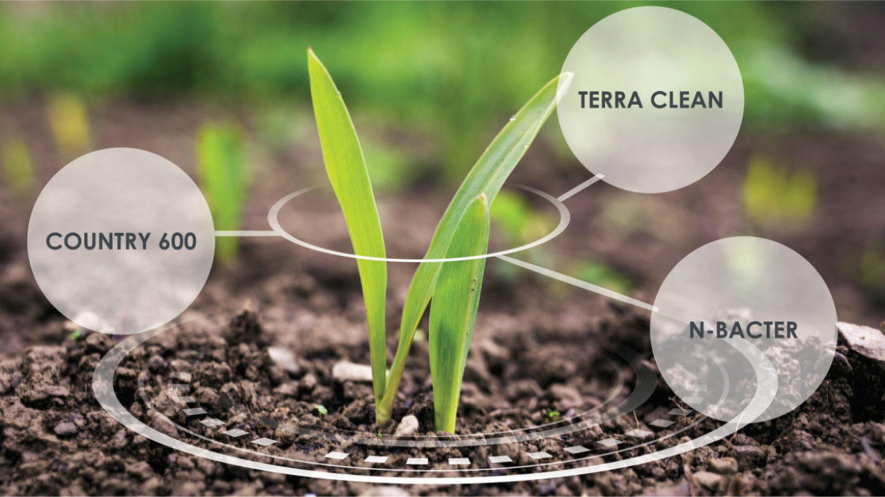 Businessul Norofert crește cu 107% în 2021. Liniile care au performat