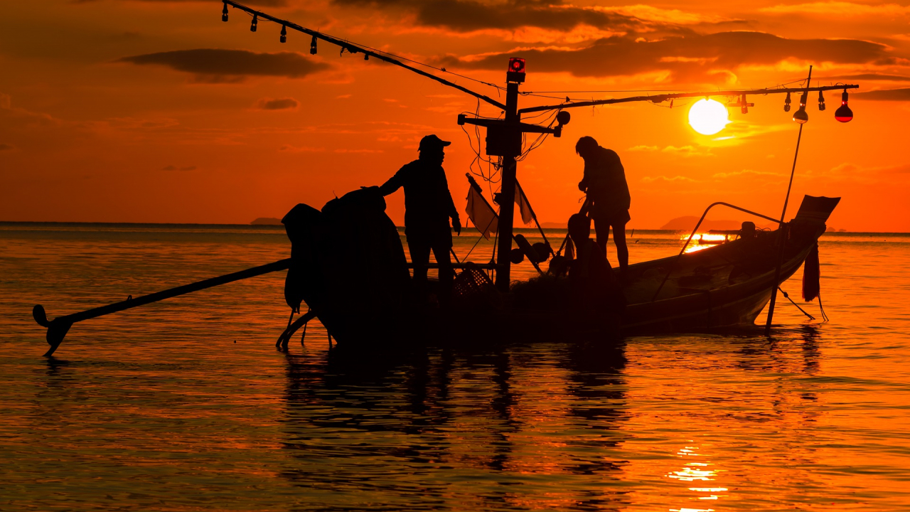 Aplicația românească pentru pescari e disponibilă pe Android și iOS