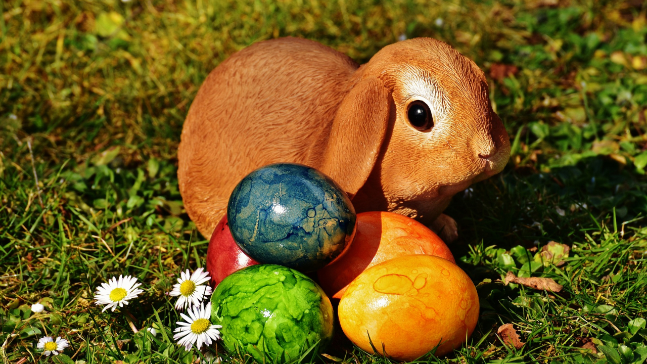 Câteva sfaturi pentru campaniile eCommerce de Paște