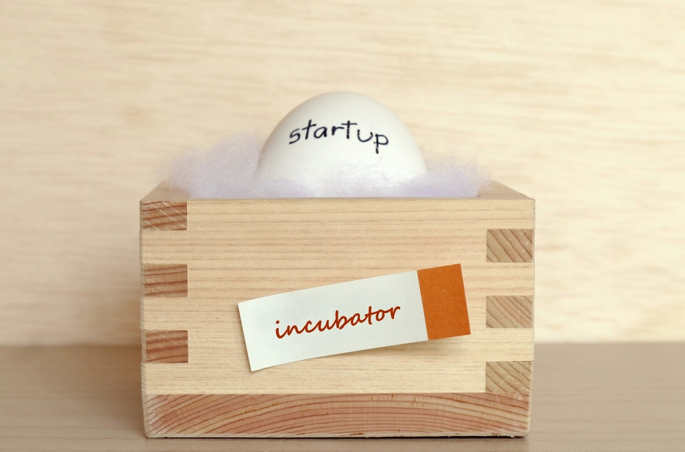 Incubatorul Ilfov Business Hub, înscrieri deschise. Ce caută organizatorii