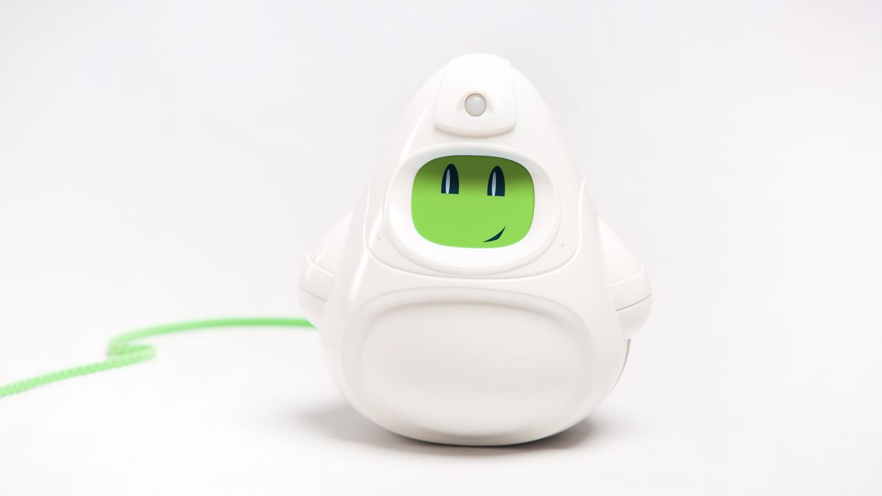 Cum se face Woogie mare: de ce au închis campania de crowdfunding