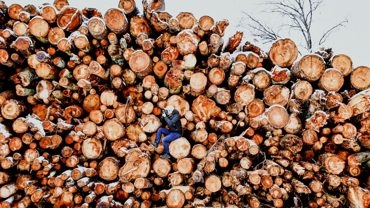 Trenduri la români: care sunt problemele de mediu de care sunt îngrijorați