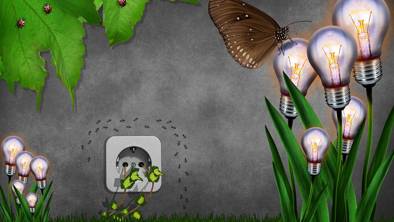 Sunt companiile românești pregătite să facă față schimbărilor?