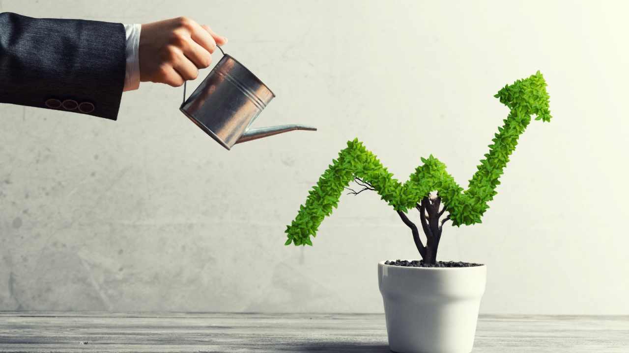 Care sunt investițiile rentabile anul viitor, în contextul creșterii inflației