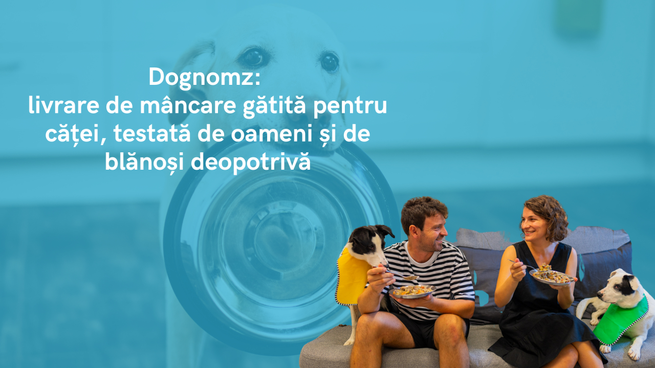 <span class="title-highlight">Dognomz</span>: livrare de mâncare gătită pentru căței