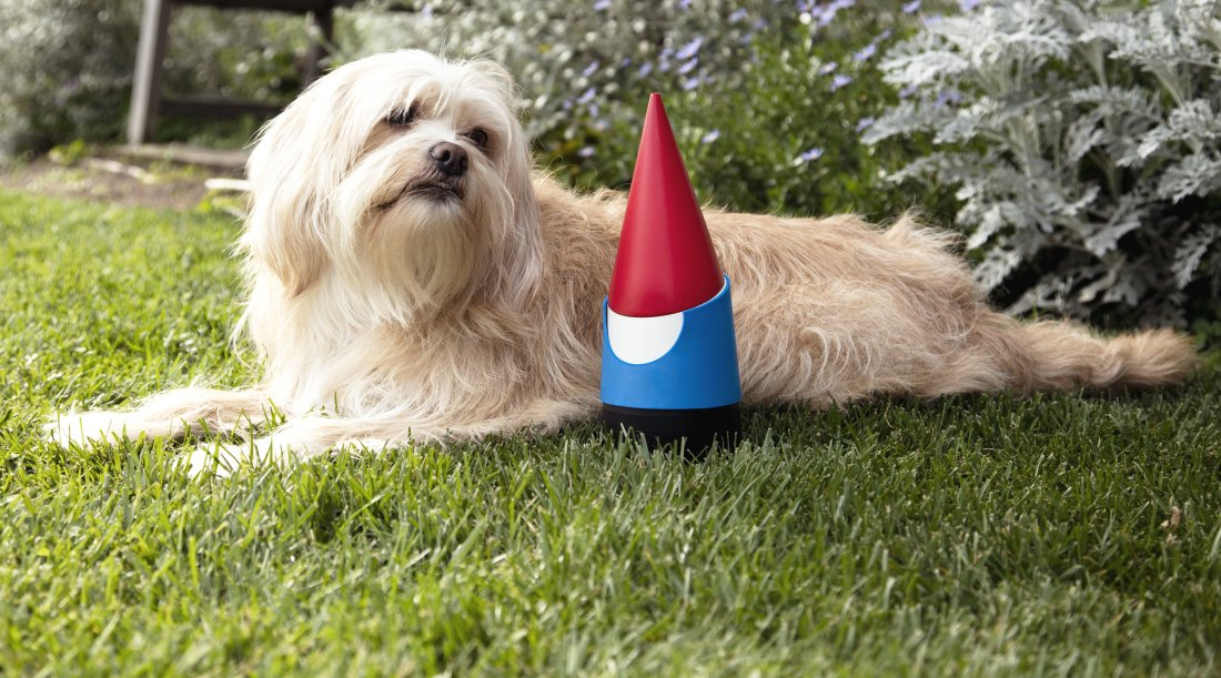 1 aprilie pentru branduri - ce glume fac Ikea, Google sau Purcari